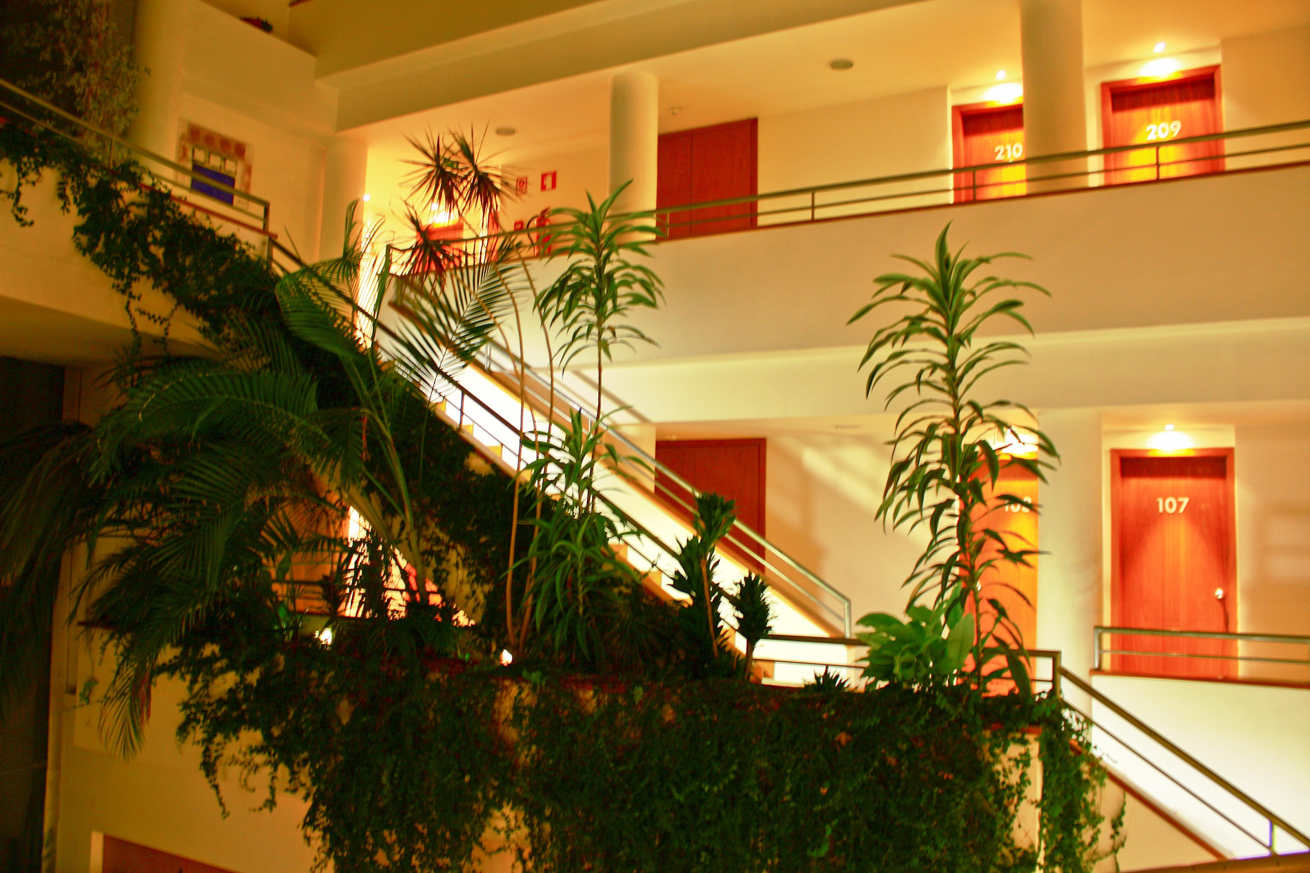 Hotel Das Taipas غيمارايش المظهر الخارجي الصورة